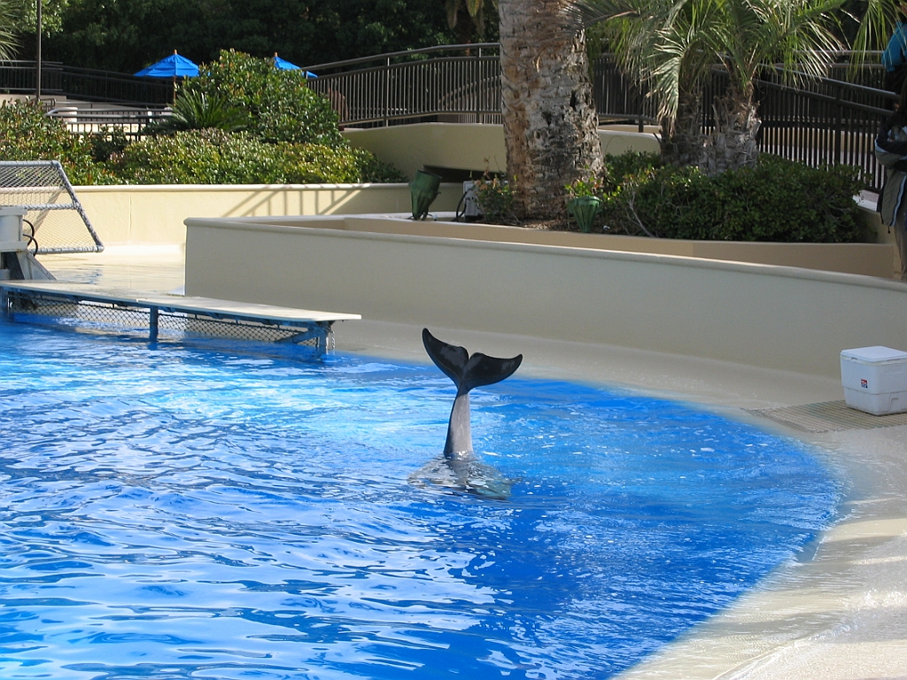 062 Secret Garden Mirage.jpg